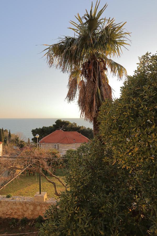 Studio Apartments Kalma Dubrovnik Exteriör bild